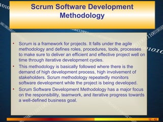 final Software development lifecycle 2025 | PPT