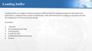 Loading buffer
Loading buffers are reagents added to protein or DNA samples for loading into gels for electrophoresis
appl...