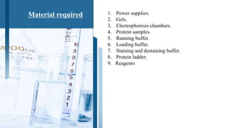 Material required 1. Power supplies.
2. Gels.
3. Electrophoresis chambers.
4. Protein samples.
5. Running buffer.
6. Loadi...
