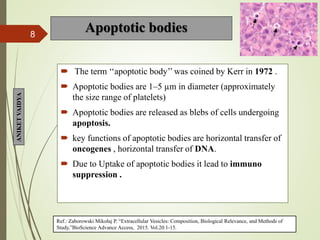 EXTRACELLULAR VESICLES IN CANCER | PPTX