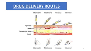 DRUG DELIVERY ROUTES
24
 