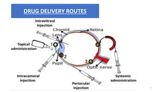 DRUG DELIVERY ROUTES
5
 