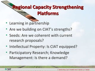 Capacity Strengthening and Knowledge Managemen: The Way Ahead For CIAT 