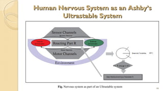 Human Nervous System as an Ashby’s
Ultrastable System

Fig. Nervous system as part of an Ultrastable system

11

 