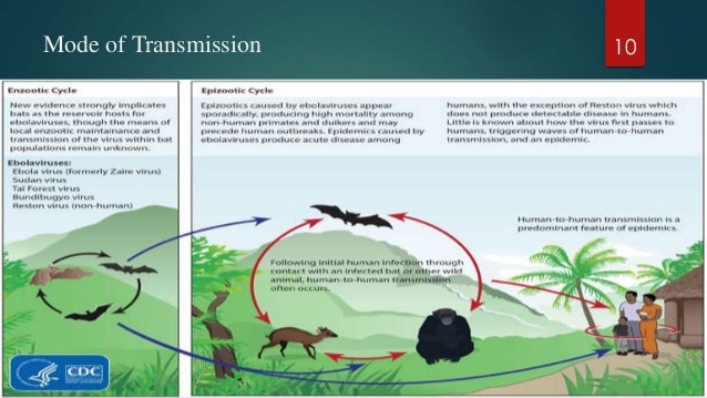 ebola ways of transmission ebola ways of transmission