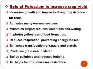 potassium dynamics | PPTX