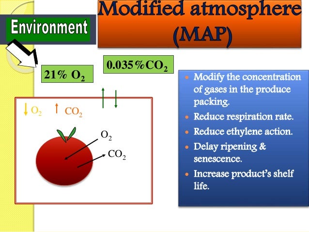 Hasil gambar untuk modified atmosphere packaging