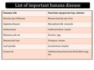 Panama wilt Fusarium oxysporum f.sp. cubense
Bunchy top of Banana Banana bunchy top virus
Sigatoka disease Mycosphaerella musicola
Anthracnose Colletrotrichum musae
Rhizome soft rot Erwinia spp.
Banana leaf rust Uromyces musae
Leaf speckle Acrodontium simplex
Crown rot Colletotrichum,Fusarium,Verticillium spp.
etc.
List of important banana disease
 