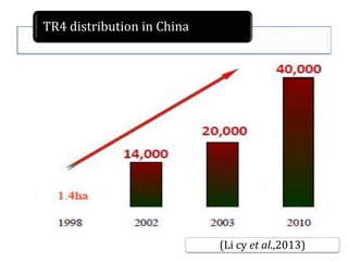 TR4 distribution in China
.
(Li cy et al.,2013)
 