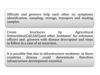 .
Officials and growers help each other on symptoms
identification, sampling, storage, transport and mailing
samples.
Create brochures by Agricultural
Universities(CAU,SAU)and other Institutes' for extension
officers and growers with disease description and steps
to follow in a case of an incursion.
It is possible that due to infrastructure weakness in these
countries disease could disseminate therefore
infrastructure development essential.
 