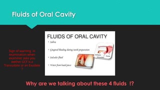 finalseminar-190228072850.pptxfgyuiopoijhghj | PPTX