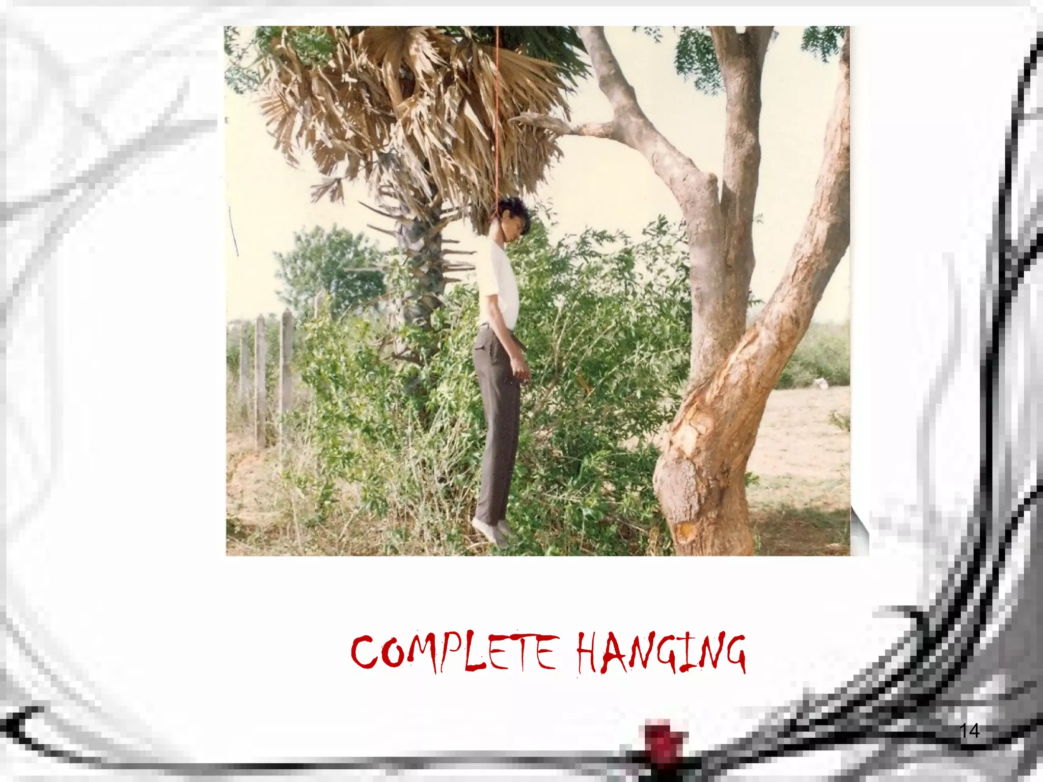 COMPLETE HANGING 
14 
 
