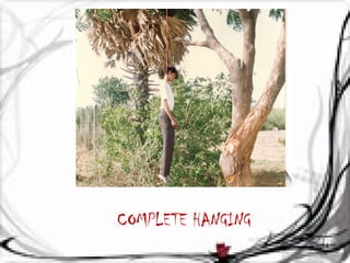 COMPLETE HANGING 
14 
 