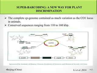 DNA Barcoding and its application in species identification | PPTX