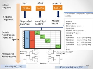 DNA Barcoding and its application in species identification | PPTX