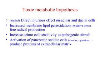 Toxic metabolic hypothesis 
• (alcohol) Direct injurious effect on acinar and ductal cells 
• Increased membrane lipid peroxidation (oxidative stress), 
free radical production 
• Increase acinar cell sensitivity to pathogenic stimuli 
• Activation of pancreatic stellate cells (alcohol, cytokines) – 
produce proteins of extracellular matrix 
 