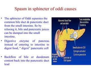 Spasm in sphincter of oddi causes 
• The sphincter of Oddi separates the 
common bile duct & pancreatic duct 
from the small intestine. So by 
relaxing it, bile and pancreatic juices 
can be dumped into the small 
intestine. 
• Digestive enzyme of pancreas 
instead of entering to intestine to 
digest food, “ digest” pancreatic cell 
• Backflow of bile or duodenum 
content back into the pancreatic duct 
lead 
 