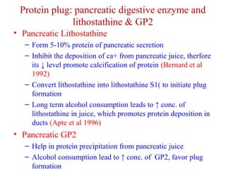 Protein plug: pancreatic digestive enzyme and 
lithostathine & GP2 
• Pancreatic Lithostathine 
– Form 5-10% protein of pancreatic secretion 
– Inhibit the deposition of ca+ from pancreatic juice, therfore 
its ↓ level promote calcification of protein (Bernard et al 
1992) 
– Convert lithostathine into lithostathine S1( to initiate plug 
formation 
– Long term alcohol consumption leads to ↑ conc. of 
lithostathine in juice, which promotes protein deposition in 
ducts (Apte et al 1996) 
• Pancreatic GP2 
– Help in protein precipitation from pancreatic juice 
– Alcohol consumption lead to ↑ conc. of GP2, favor plug 
formation 
 