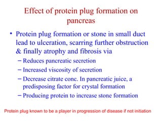Effect of protein plug formation on 
pancreas 
• Protein plug formation or stone in small duct 
lead to ulceration, scarring further obstruction 
& finally atrophy and fibrosis via 
– Reduces pancreatic secretion 
– Increased viscosity of secretion 
– Decrease citrate conc. In pancreatic juice, a 
predisposing factor for crystal formation 
– Producing protein to increase stone formation 
Protein plug known to be a player in progression of disease if not initiation 
 
