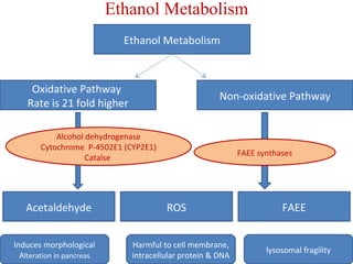 Ethanol Metabolism 
Ethanol Metabolism 
Non-oxidative Pathway 
Oxidative Pathway 
Rate is 21 fold higher 
Alcohol dehydrogenase 
Cytochrome P-4502E1 (CYP2E1) 
Catalse FAEE synthases 
Acetaldehyde ROS 
FAEE 
Induces morphological 
Alteration in pancreas 
Harmful to cell membrane, 
intracellular protein & DNA 
lysosomal fragility 
 