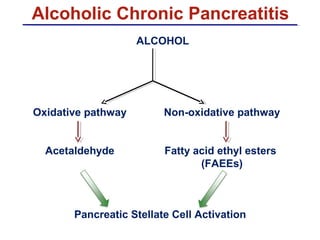 Alcoholic Chronic Pancreatitis 
ALCOHOL 
Oxidative pathway 
Acetaldehyde 
Non-oxidative pathway 
Fatty acid ethyl esters 
(FAEEs) 
Pancreatic Stellate Cell Activation 
 