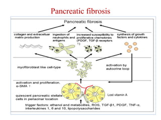 Pancreatic fibrosis 
Lost vitamin A 
 
