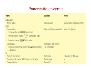Pancreatic enzyme 
 