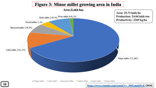 10
Finger millet, 17.1, 66%
Little millet, 2.91, 11%
Barnyard millet, 1.95, 8%
Foxtail millet, 1, 4%
Kodo millet, 2.35, 9%
Proso millet, 0.42, 2%
Area (Lakh ha)
Finger millet Little millet Barnyard millet Foxtail millet Kodo millet Proso millet
https://www.youtube.com/watch?v=_M4UznoQXvE (2018)
Figure 3: Minor millet growing area in India
Area: 25.73 lakh ha
Production: 24.04 lakh ton
Productivity: 2269 kg/ha
 