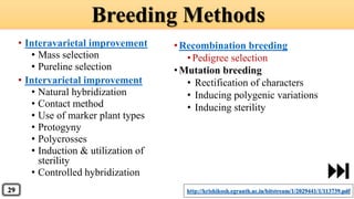 • Interavarietal improvement
• Mass selection
• Pureline selection
• Intervarietal improvement
• Natural hybridization
• Contact method
• Use of marker plant types
• Protogyny
• Polycrosses
• Induction & utilization of
sterility
• Controlled hybridization
Breeding Methods
http://krishikosh.egranth.ac.in/bitstream/1/2029441/1/113739.pdf
•Recombination breeding
•Pedigree selection
•Mutation breeding
• Rectification of characters
• Inducing polygenic variations
• Inducing sterility
29
 