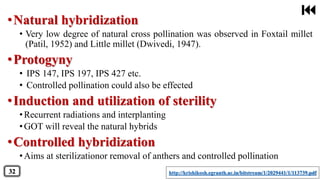 •Natural hybridization
• Very low degree of natural cross pollination was observed in Foxtail millet
(Patil, 1952) and Little millet (Dwivedi, 1947).
•Protogyny
• IPS 147, IPS 197, IPS 427 etc.
• Controlled pollination could also be effected
•Induction and utilization of sterility
•Recurrent radiations and interplanting
•GOT will reveal the natural hybrids
•Controlled hybridization
•Aims at sterilizationor removal of anthers and controlled pollination
http://krishikosh.egranth.ac.in/bitstream/1/2029441/1/113739.pdf32
 