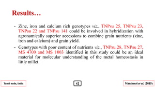 Results…
- Zinc, iron and calcium rich genotypes viz., TNPsu 25, TNPsu 23,
TNPsu 22 and TNPsu 141 could be involved in hybridization with
agronomically superior accessions to combine grain nutrients (zinc,
iron and calcium) and grain yield.
- Genotypes with poor content of nutrients viz., TNPsu 28, TNPsu 27,
MS 4700 and MS 1003 identified in this study could be an ideal
material for molecular understanding of the metal homeostasis in
little millet.
Tamil nadu, India Manimozi et al. (2015)42
 