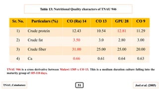 Table 13: Nutritional Quality characters of TNAU 946
Sr. No. Particulars (%) CO (Ra) 14 CO 13 GPU 28 CO 9
1) Crude protein 12.43 10.54 12.81 11.29
2) Crude fat 3.50 3.0 2.80 3.00
3) Crude fiber 31.00 25.00 25.00 20.00
4) Ca 0.66 0.61 0.64 0.63
Joel et al. (2005)TNAU, Coimbatore
TNAU 946 is a cross derivative between Malawi 1305 x CO 13. This is a medium duration culture falling into the
maturity group of 105-110 days.
51
 