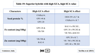 Characters High GCA effect High SCA effect
Seed protein %
CO(Ra)14,
GPU-48 &
GPU-28
OEB 259 x K 7 &
CO(Ra)14 x K 7
Fe content (mg/100g)
GPU-28 &
VR-708
RAU 8 x PR 202 ,
GPU 28 x PR 202 &
VR 708 x KM 252
Zn content (mg/100g)
VR-708 &
RAU-8
GPU 28 x K 7,
VR 708 x PR 202 &
GPU 48 x PR 202
Table 19: Superior hybrids with high GCA, high SCA value
Coimbatore, India Savitha et al. (2013)59
 