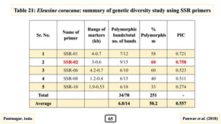 Sr. No.
Name of
primer
Range of
markers
(kb)
Polymorphic
bands/total
no. of bands
%
Polymorphis
m
PIC
1 SSR-01 4-0.7 7/12 58 0.721
2 SSR-02 3-0.6 9/15 60 0.758
3 SSR-06 4.2-0.7 6/10 60 0.523
4 SSR-08 1.2-0.4 6/15 40 0.511
5 SSR-10 1.9-0.53 6/18 33 0.274
Total 34/70 251 -
Average 6.8/14 50.2 0.557
Pantnagar, India Panwar et al. (2010)
Table 21: Eleusine coracana: summary of genetic diversity study using SSR primers
65
 