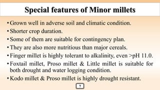 •Grown well in adverse soil and climatic condition.
•Shorter crop duration.
•Some of them are suitable for contingency plan.
•They are also more nutritious than major cereals.
•Finger millet is highly tolerant to alkalinity, even >pH 11.0.
•Foxtail millet, Proso millet & Little millet is suitable for
both drought and water logging condition.
•Kodo millet & Proso millet is highly drought resistant.
7
Special features of Minor millets
 