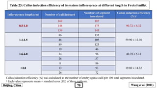 Inflorescence length (cm) Number of calli induced
Numbers of segment
inoculated
Callus induction efficiency
(%)a
0.5-1.0
169 187
90.72 ± 6.32148 175
139 143
1.1-1.5
86 137
59.90 ± 12.9848 105
89 125
1.6-2.0
19 46
40.78 ± 5.1234 96
26 57
>2.0
8 86
19.80 ± 14.3213 93
26 72
Table 23: Callus induction efficiency of immature inflorescence at different length in Foxtail millet.
Callus induction efficiency (%) was calculated as the number of embryogenic calli per 100 total segments inoculated.
a Each value represents mean ± standard error (SE) of three replicate.
Wang et al. (2011)Beijing, China 70
 