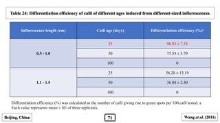 Inflorescence length (cm) Calli age (days) Differentiation efficiency (%)a
0.5 - 1.0
25 90.93 ± 7.33
50 75.33 ± 3.79
100 0
1.1 - 1.5
25 56.20 ± 13.19
50 36.04 ± 2.40
100 0
Table 24: Differentiation efficiency of calli of different ages induced from different-sized inflorescences.
Wang et al. (2011)Beijing, China 71
Differentiation efficiency (%) was calculated as the number of calli giving rise to green spots per 100 calli tested. a
Each value represents mean ± SE of three replicates.
 