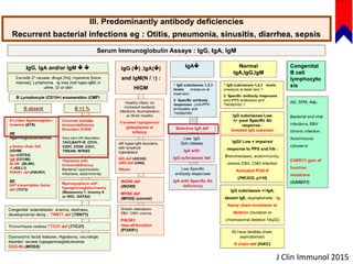 Humoral Immunodeficiencies | PPTX