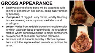 ● Epiphyseal end of long bone will be expanded with
thining of periosteum and cortex, being easily broken
by handling.
● Composed of ragged , very friable, readily bleeding
tissue containing variously sized cavitations and
small cysts.
● colour -varies from reddish brown to chocolate color
in which vascular tissue predominates , to greyish or
mottled where connective tissue is major component.
● no evidence of periosteal new bone formation.
● the inner wall of tumor is lined by a fibrous capsule
from which the septae extend inwards to partition the
tumor.
 