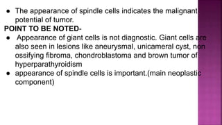 ● The appearance of spindle cells indicates the malignant
potential of tumor.
POINT TO BE NOTED-
● Appearance of giant cells is not diagnostic. Giant cells are
also seen in lesions like aneurysmal, unicameral cyst, non
ossifying fibroma, chondroblastoma and brown tumor of
hyperparathyroidism
● appearance of spindle cells is important.(main neoplastic
component)
 