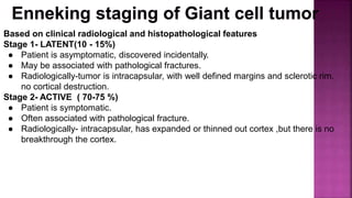 Based on clinical radiological and histopathological features
Stage 1- LATENT(10 - 15%)
● Patient is asymptomatic, discovered incidentally.
● May be associated with pathological fractures.
● Radiologically-tumor is intracapsular, with well defined margins and sclerotic rim.
no cortical destruction.
Stage 2- ACTIVE ( 70-75 %)
● Patient is symptomatic.
● Often associated with pathological fracture.
● Radiologically- intracapsular, has expanded or thinned out cortex ,but there is no
breakthrough the cortex.
 