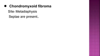 ● Chondromyxoid fibroma
Site- Metadiaphysis
Septae are present.
 