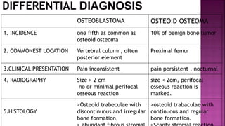 OSTEOBLASTOMA OSTEOID OSTEOMA
1. INCIDENCE one fifth as common as
osteoid osteoma
10% of benign bone tumor
2. COMMONEST LOCATION Vertebral column, often
posterior element
Proximal femur
3.CLINICAL PRESENTATION Pain inconsistent pain persistent , nocturnal
4. RADIOGRAPHY Size > 2 cm
no or minimal perifocal
osseous reaction
size < 2cm, perifocal
osseous reaction is
marked.
5.HISTOLOGY
>Osteoid trabeculae with
discontinuous and irregular
bone formation,
>osteoid trabaculae with
continuous and regular
bone formation.
 