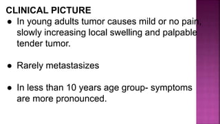 CLINICAL PICTURE
● In young adults tumor causes mild or no pain,
slowly increasing local swelling and palpable
tender tumor.
● Rarely metastasizes
● In less than 10 years age group- symptoms
are more pronounced.
 