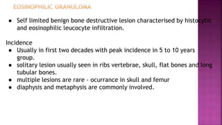 ● Self limited benign bone destructive lesion characterised by histocytic
and eosinophilic leucocyte infiltration.
Incidence
● Usually in first two decades with peak incidence in 5 to 10 years
group.
● solitary lesion usually seen in ribs vertebrae, skull, flat bones and long
tubular bones.
● multiple lesions are rare - ocurrance in skull and femur
● diaphysis and metaphysis are commonly involved.
 