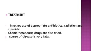  TREATMENT
• involves use of appropriate antibiotics, radiation and
steroids.
• Chemotherapeutic drugs are also tried.
• course of disease is very fatal.
 