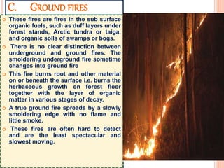 C. GROUND FIRES
 These fires are fires in the sub surface
organic fuels, such as duff layers under
forest stands, Arctic tundra or taiga,
and organic soils of swamps or bogs.
 There is no clear distinction between
underground and ground fires. The
smoldering underground fire sometime
changes into ground fire
 This fire burns root and other material
on or beneath the surface i.e. burns the
herbaceous growth on forest floor
together with the layer of organic
matter in various stages of decay.
 A true ground fire spreads by a slowly
smoldering edge with no flame and
little smoke.
 These fires are often hard to detect
and are the least spectacular and
slowest moving.
 