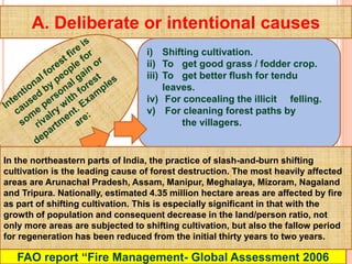 A. Deliberate or intentional causes
i) Shifting cultivation.
ii) To get good grass / fodder crop.
iii) To get better flush for tendu
leaves.
iv) For concealing the illicit felling.
v) For cleaning forest paths by
the villagers.
In the northeastern parts of India, the practice of slash-and-burn shifting
cultivation is the leading cause of forest destruction. The most heavily affected
areas are Arunachal Pradesh, Assam, Manipur, Meghalaya, Mizoram, Nagaland
and Tripura. Nationally, estimated 4.35 million hectare areas are affected by fire
as part of shifting cultivation. This is especially significant in that with the
growth of population and consequent decrease in the land/person ratio, not
only more areas are subjected to shifting cultivation, but also the fallow period
for regeneration has been reduced from the initial thirty years to two years.
FAO report “Fire Management- Global Assessment 2006
 