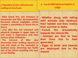 3. Degradation of water catchments areas
resultingintoloss of water:
• After forest fire, soil moisture is
decreased and litter decomposition
becomes almost negligible, which
creates a possibility of forest fire in
future.
• Just after fire, the chemical and
physical changes in upper layer of
soil make it impervious and thus
reduce water infiltration.
• The removal of litter also
decreases water holding capacity of
soil and most of the rainwater is
washed away removing top fertile
soil of the forest resulting into loss
of soil fertility.
4. Loss of wildlifehabitat and depletion of
wildlife:
• Wildfire along with killing
wild animals also destroys
their habitat and thus makes
their survival at stake.
• Forest fire dramatically
impacts the animal life.
• Animals are first to lose
their lives due to heat
generated.
• Eggs of birds and insects
are destroyed due to fire
impact.
 