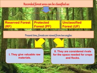 Recordedforest area can be classifiedas:
Reserved Forest
(RF)
Protected
Forest (PF)
Unclassified
Forest (UF)
I. They give valuable raw
materials.
II. They are considered rivals
for the space needed for crops
and flocks.
Present time, forests are viewedfrom twoangles:
 